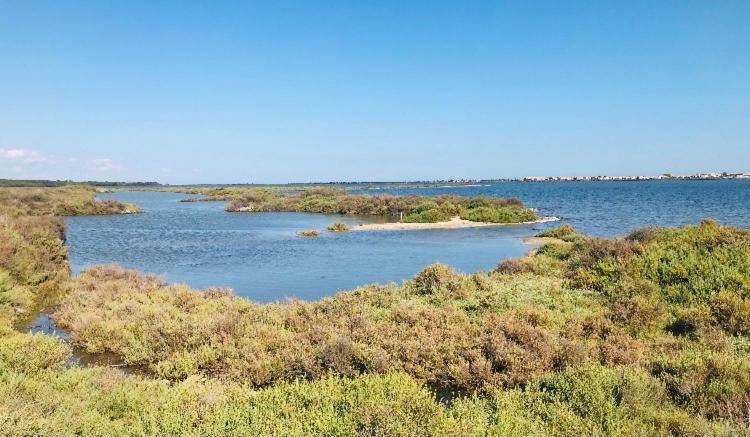 Le Nautica Plage T2 Climatise En Bord De Mer Frontignan Kültér fotó