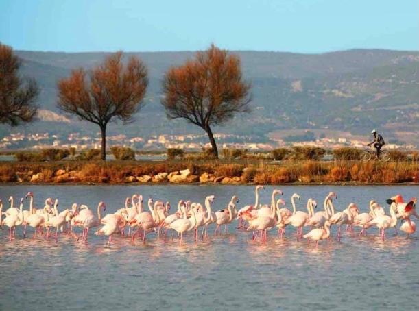 Le Nautica Plage T2 Climatise En Bord De Mer Frontignan Kültér fotó