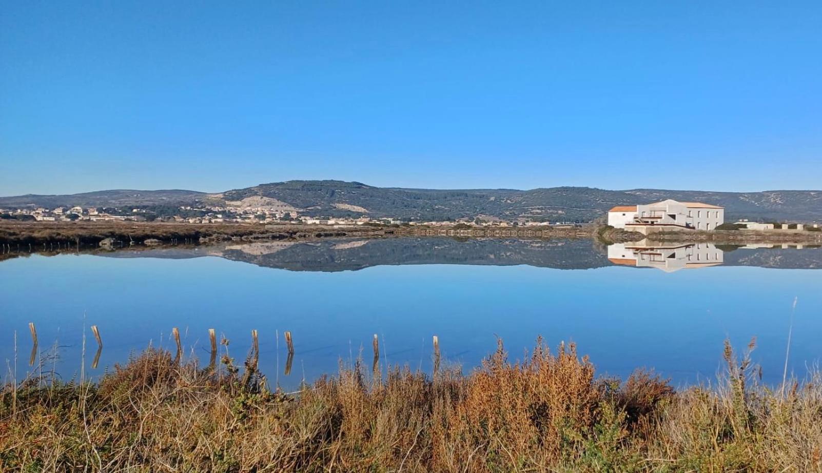 Le Nautica Plage T2 Climatise En Bord De Mer Frontignan Kültér fotó